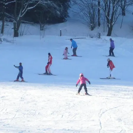 Apartment Mit Garten In Eimelrod Willingen (Upland)