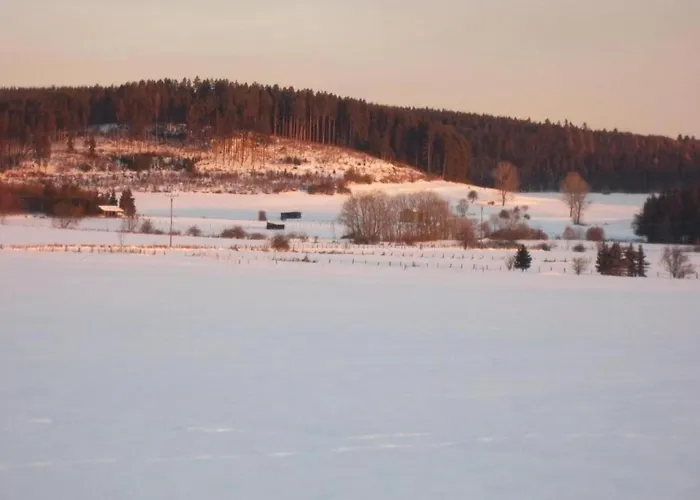 Appartement Mit Garten In Eimelrod Willingen (Upland)